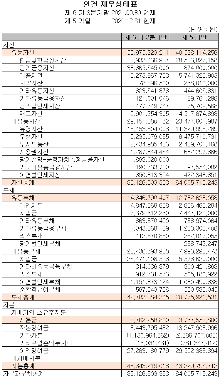 네오셈 - 재무상태표