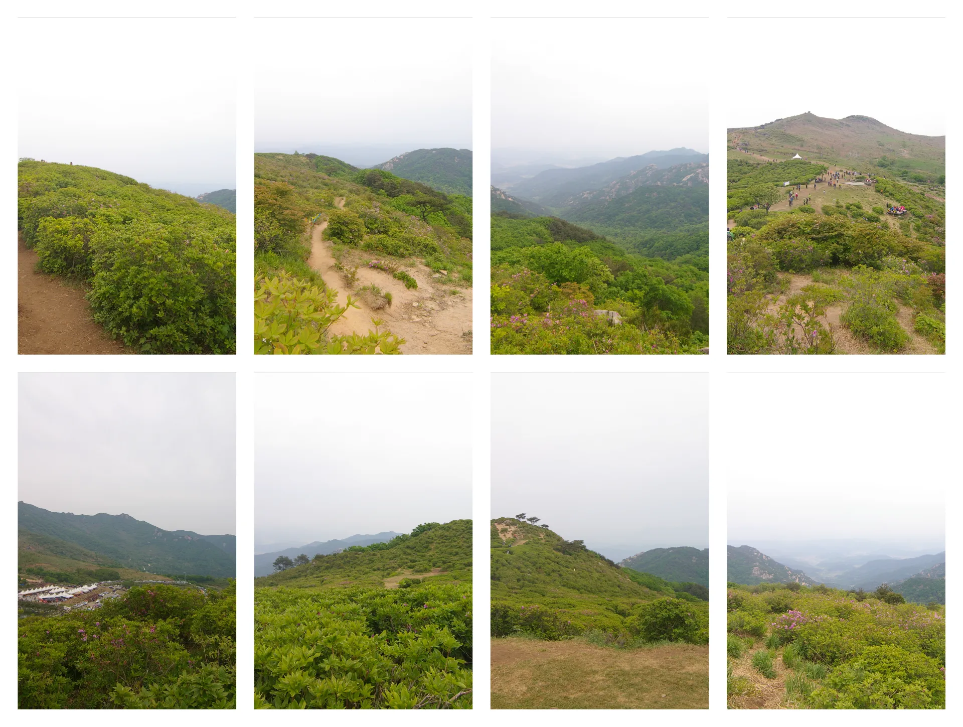 여름 황매산