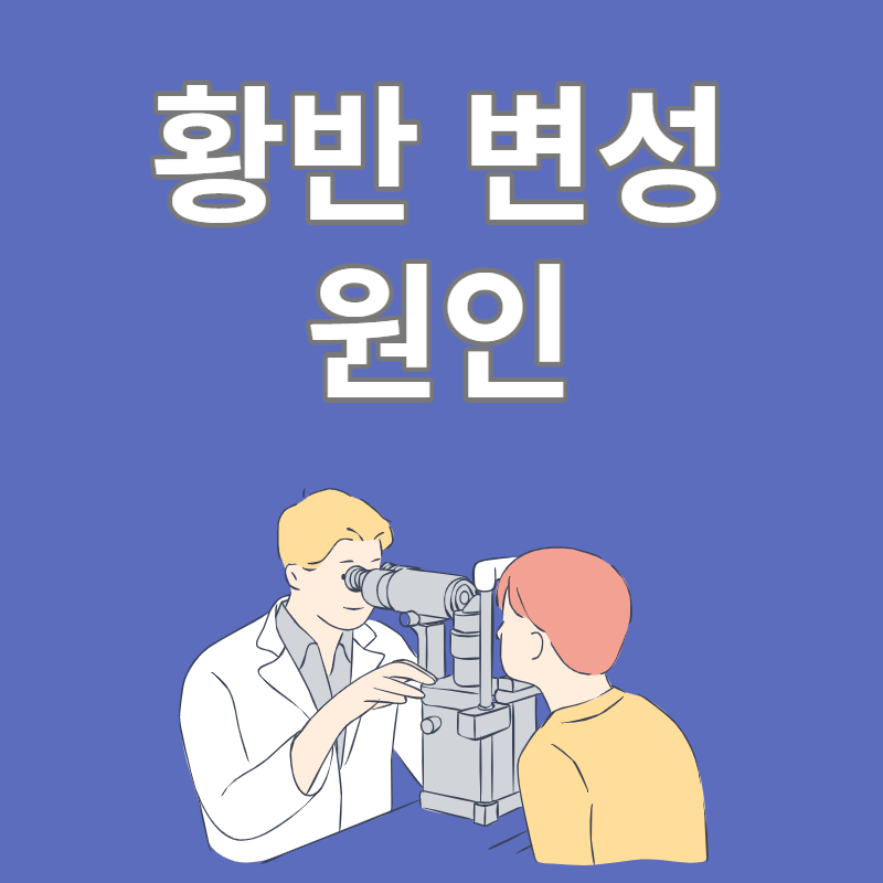 황반 변성 원인