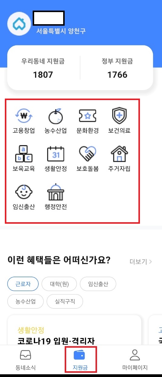 동네 지원금