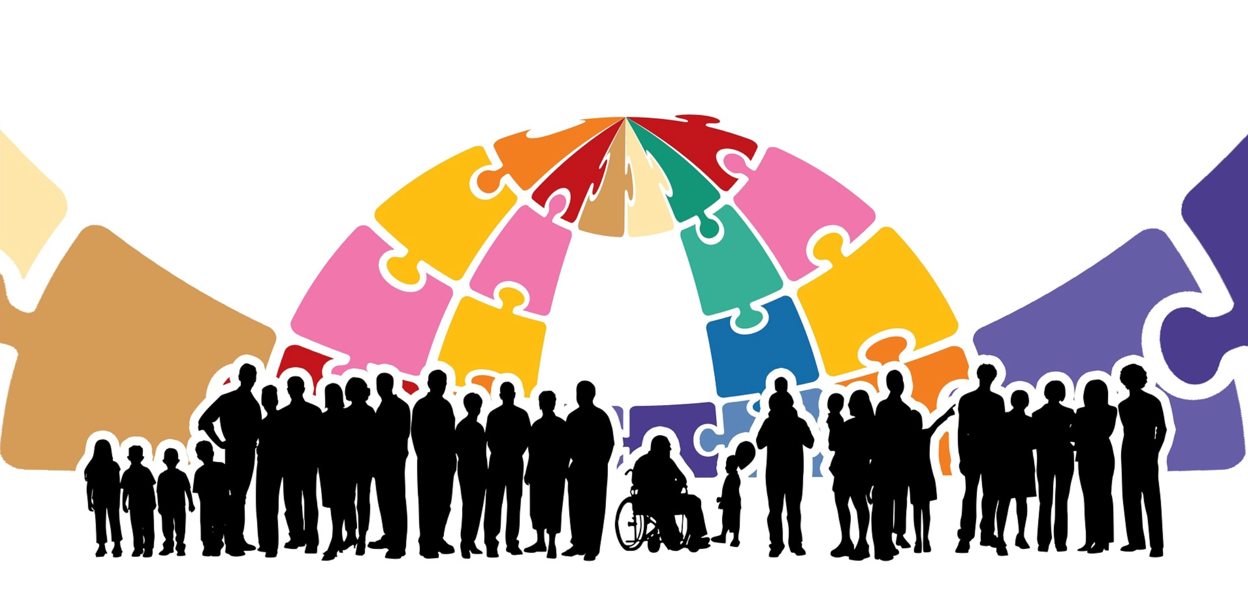 사회복지학과 전공 소개, 커리큘럼과 진로 전망