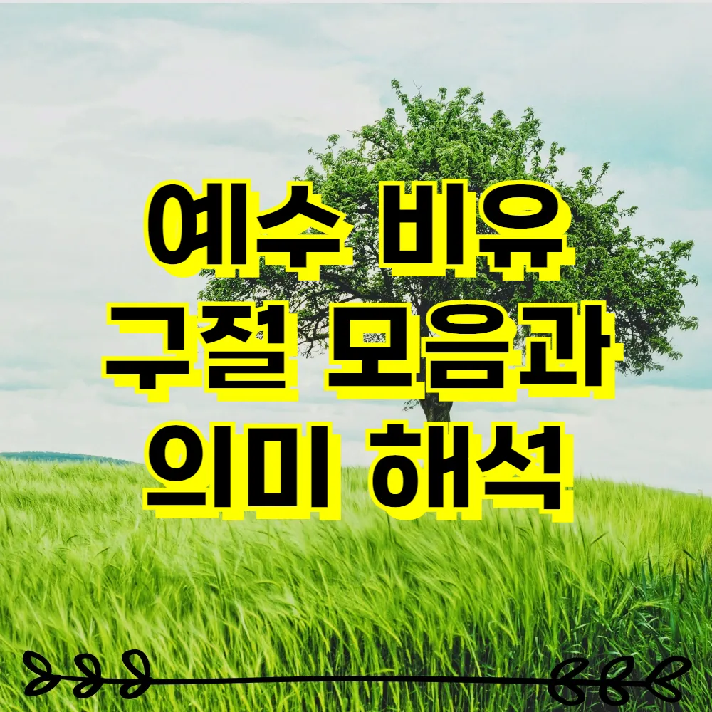 예수 비유 구절 모음과 의미 해석