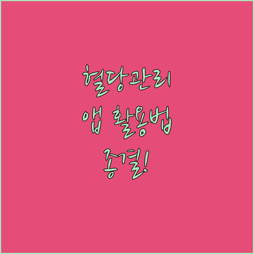 스마트폰 혈당 관리 앱 사용법 및 주..