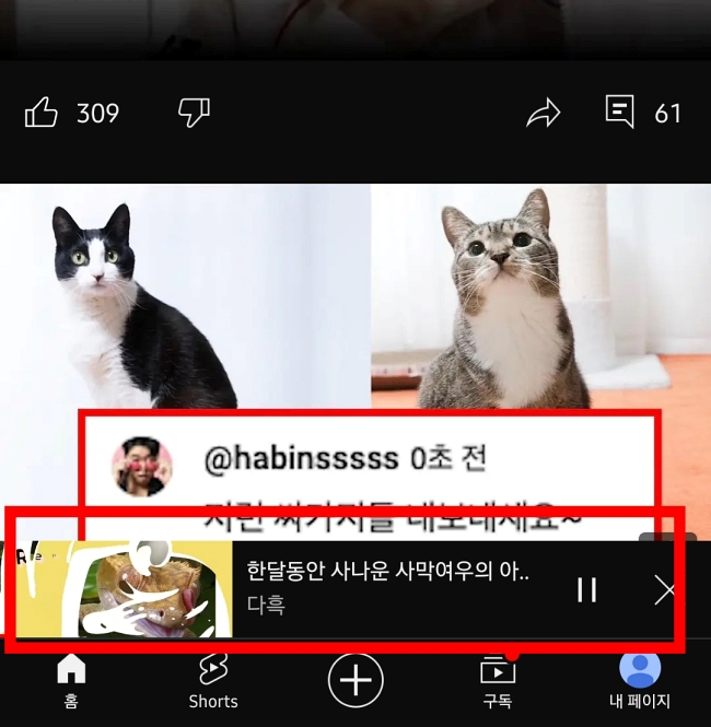 유튜브 이전 버전