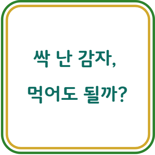 싹이 난 감자 활용법