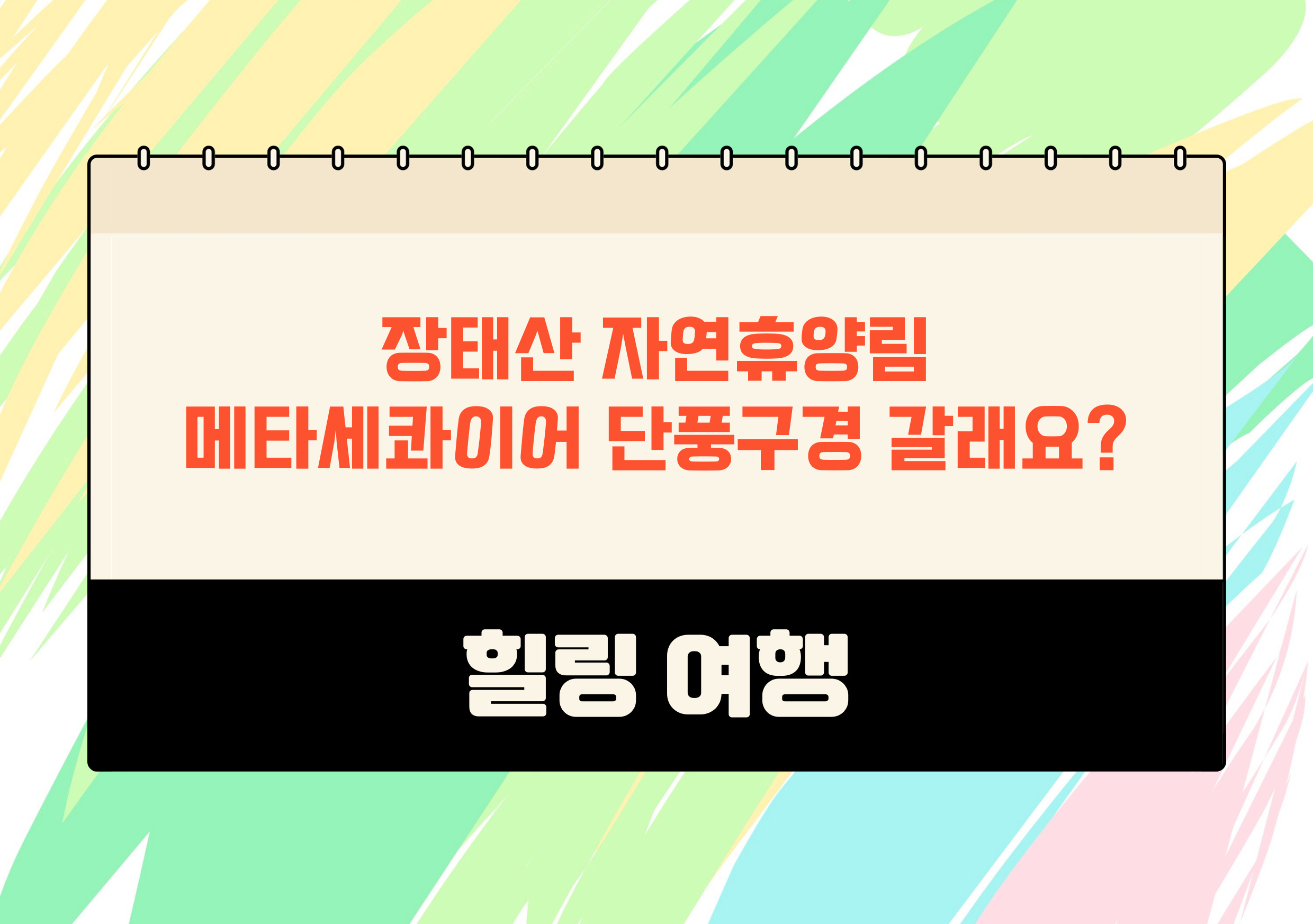 장태산자연휴양림 늦가을 단풍여행 예약 관광
