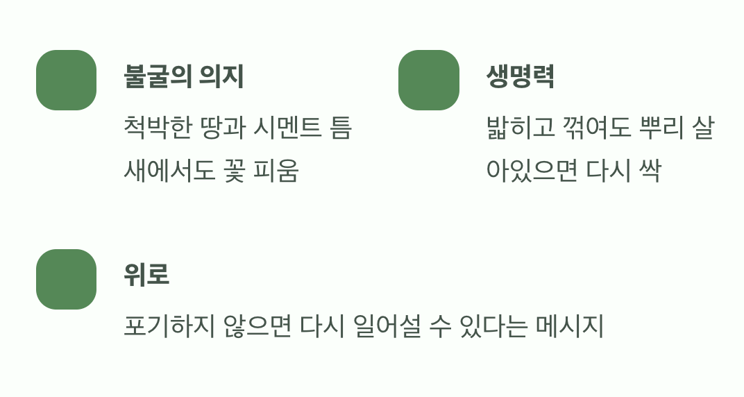 짓밟혀도 다시 피어나는 강인함