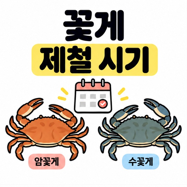 꽃게 제철 시기 제목과 암꽃게 수꽃게가 있는 대표 이미지