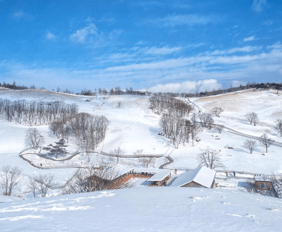 겨울여행 함께 보면 좋을 국내 여행지 추천 best 5