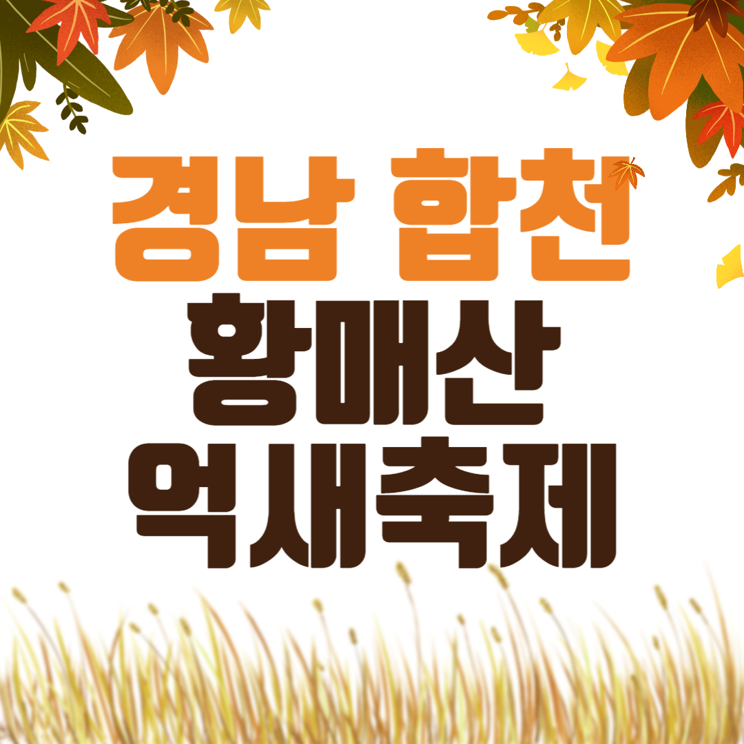 경남 합천 황매산 억새축제