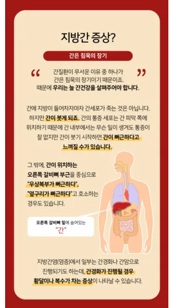 비알콜성 지방간 없애는 방법 운동 식단 중심 회복법 정리_11