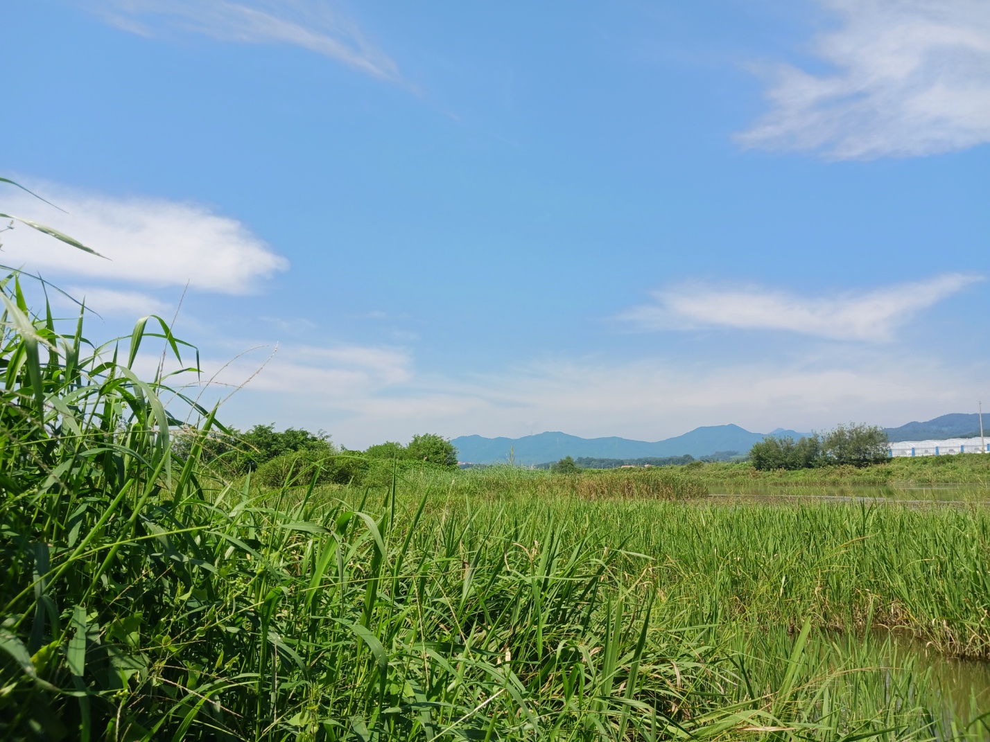 주덕보