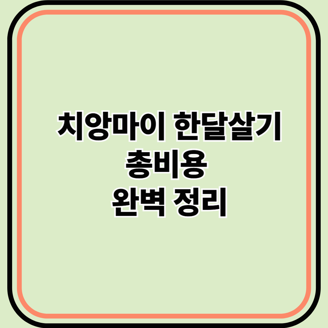 치앙마이 한달살기 총비용 완벽 정리! 예산별 꿀팁