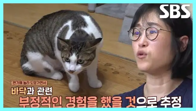 동물농장 재방송 시간 다시보기