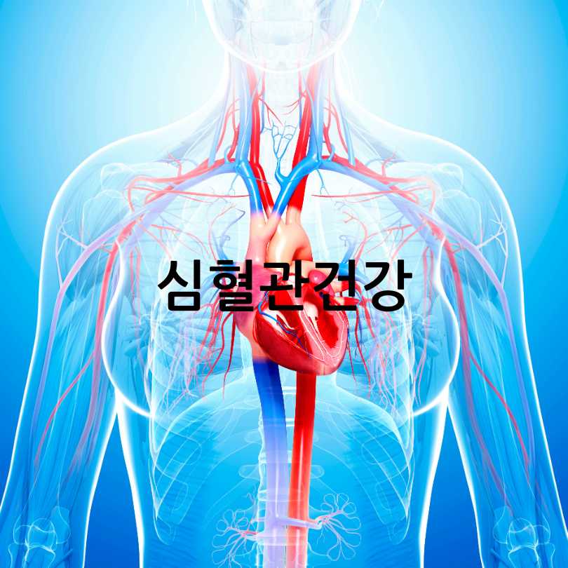 커큐민 효능 부작용