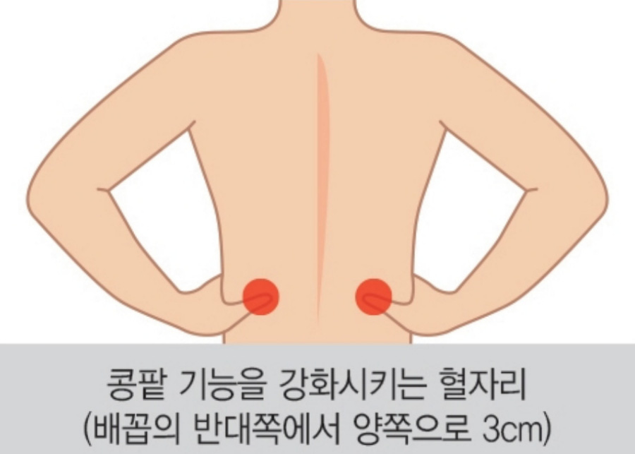 인체의 365 경혈 중에서 허리 뒷쪽에 위치를 하고 있는 신수 경혈의 위치를 빨간 점으로 표시해 놓고 설명을 해 놓은 이미지 사진
