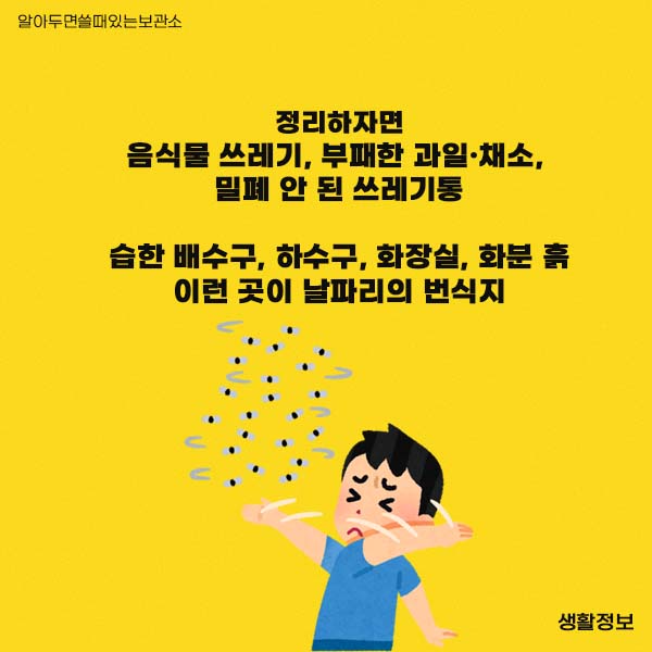 초파리 날파리 제거방법 다이소 리스테린 초파리싹