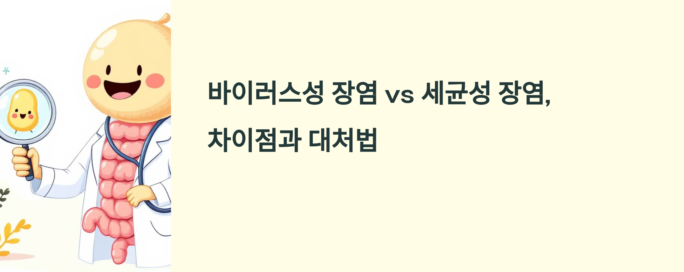 바이러스성 세균성 장염 사진