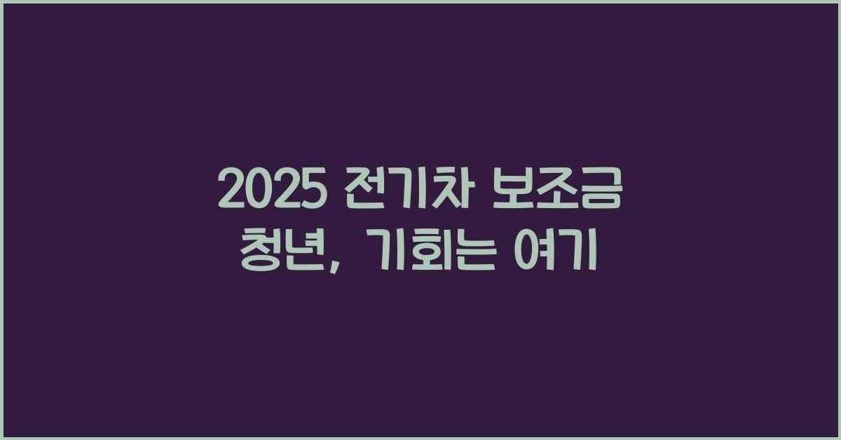 2025 전기차 보조금 청년