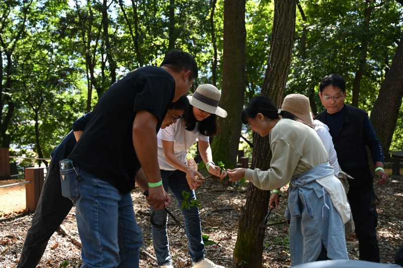 2025 함양산삼축제 리뷰 &ndash; 천년의 산삼을 체험할 최고의 가을 여행!