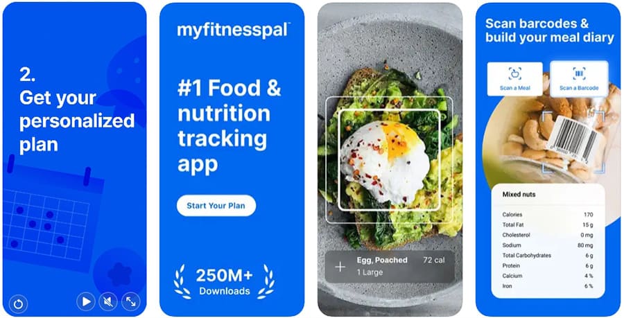 마이-피트니스-팔-앱