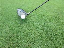 드라이버 샤프트 강도 선택