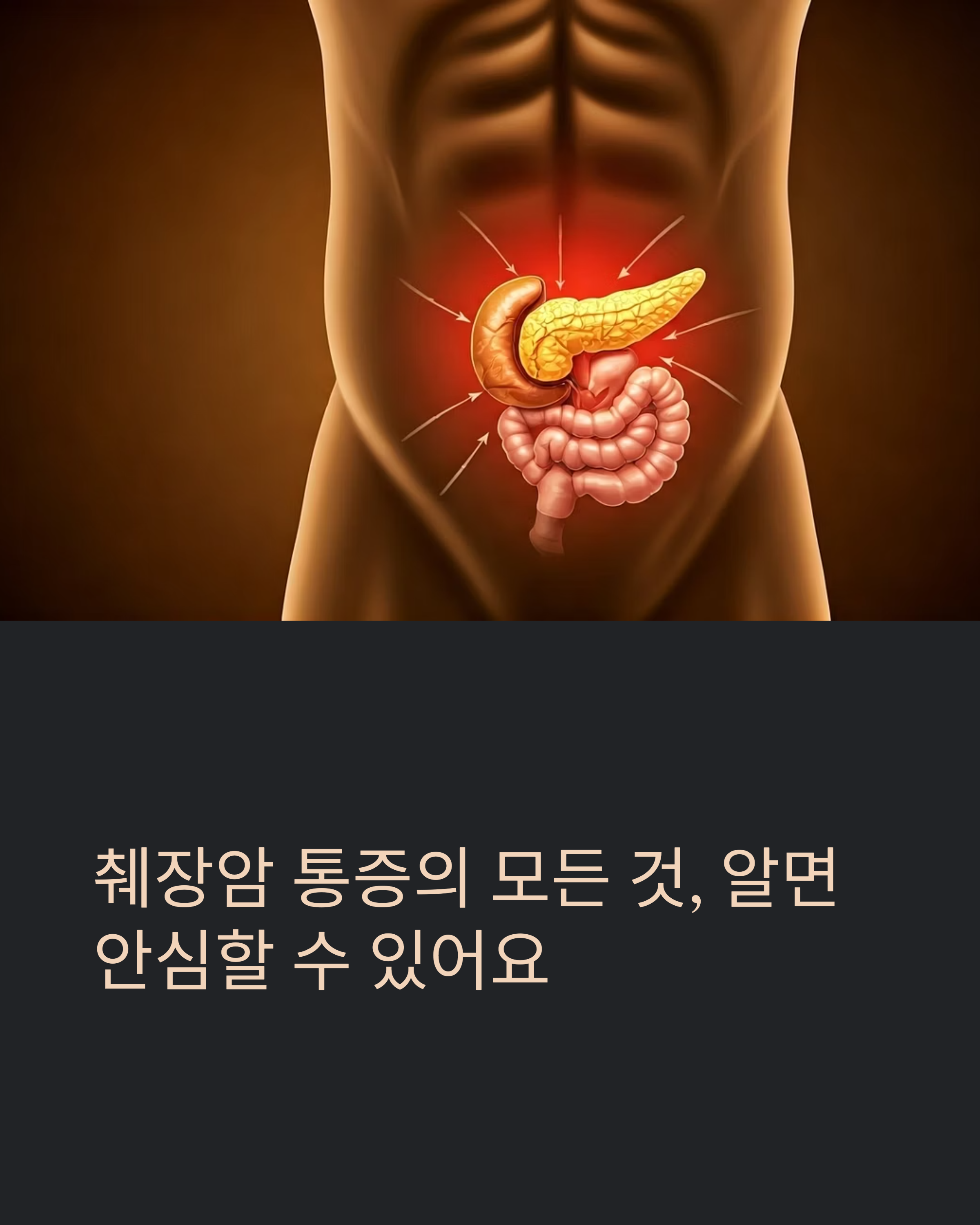 췌장암 통증의 모든것 약물치료와 보완요법