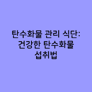 식단 계획