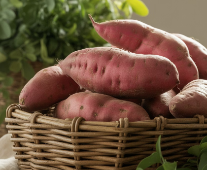 고구마 보관하는 법