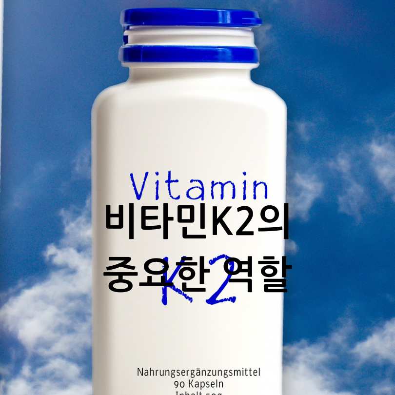 비타민K2가 많은 음식