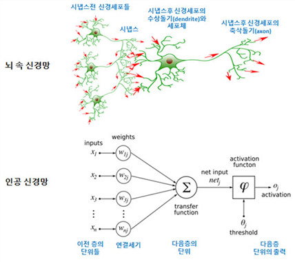 딥러닝