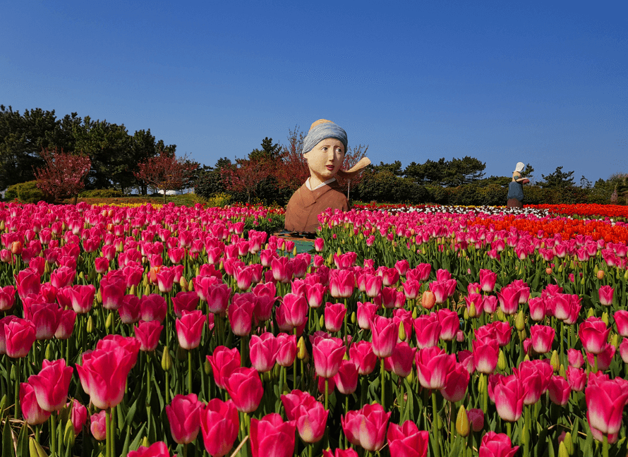 경기도 6월 여행지 꿀팁 총정리