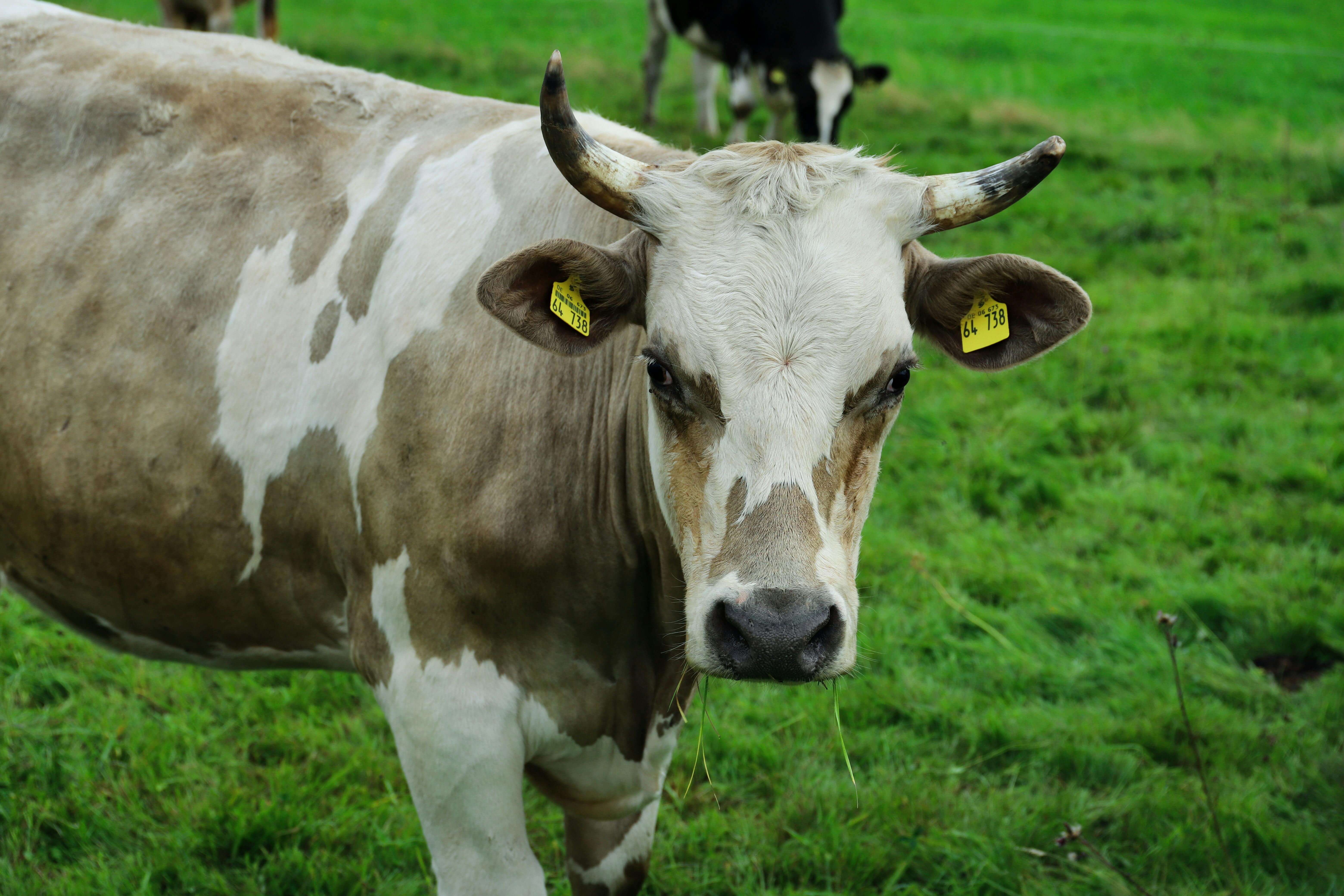 농업직불금 신청자격 완전 정리|누가 받을 수 있을까