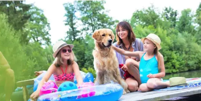 아이들과 반려동물 과의 여름여행