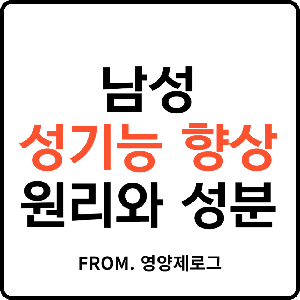남성 성기능 개선의 과학: 산화질소(NO)와 아르기닌의 진짜 관계