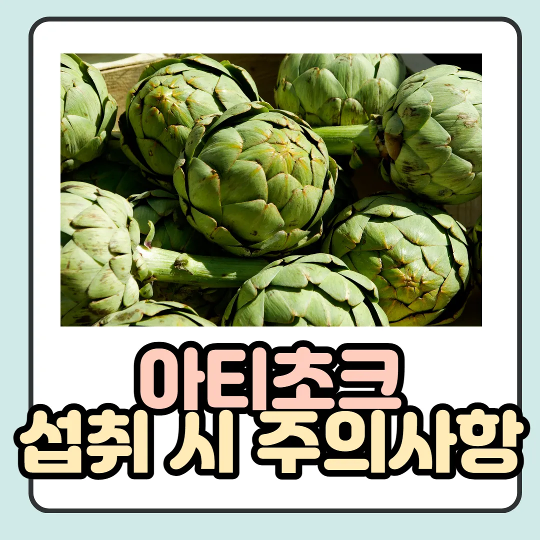 아티초크-섭취-시-주의사항