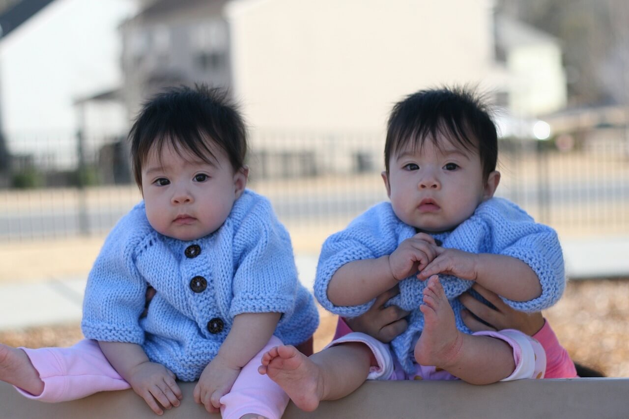 일란성쌍둥이 이란성쌍둥이 차이점 성별 확률 구분