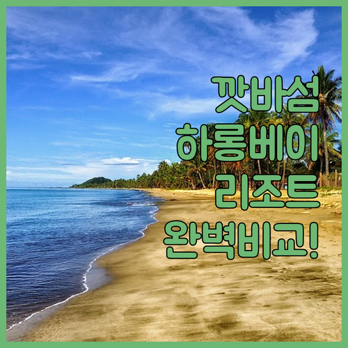 직접 다녀온 여행객이 추천하는 베트남..