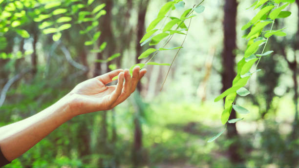 건강을 위한 자연 친화적인 생활 방식 실천법
