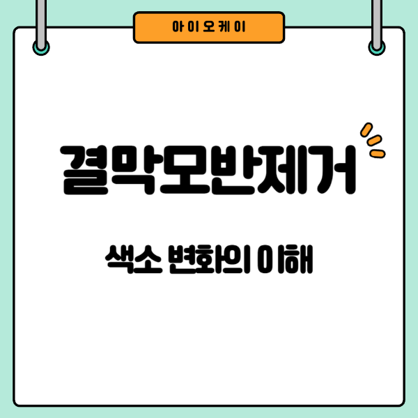결막모반제거