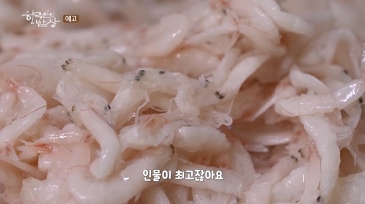 새우젓-한국인의밥상