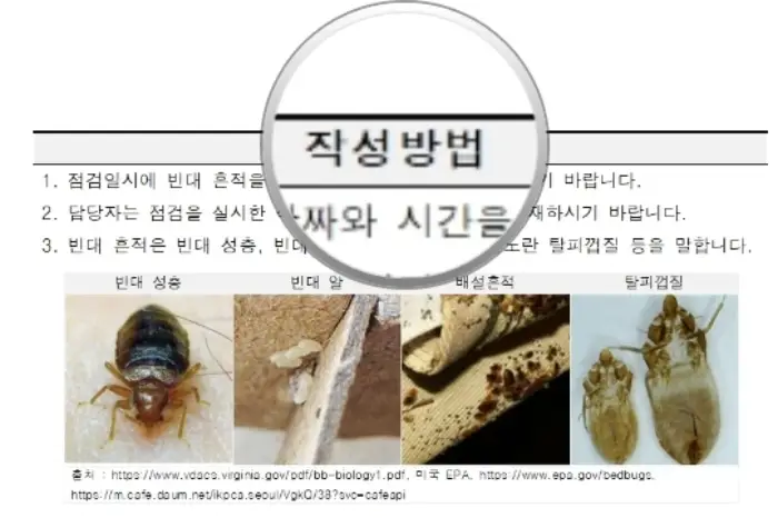 서울 빈대 신고