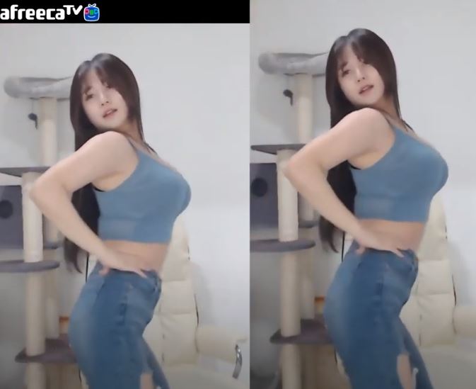BJ 감동란 아프리카tv