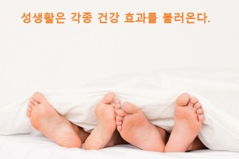 건강한 성생활과 건강한 삶