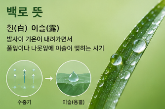 밤사이 지표와 식물이 식으면 주변 공기 속 수증기가 작은 물방울로 응결합니다.
