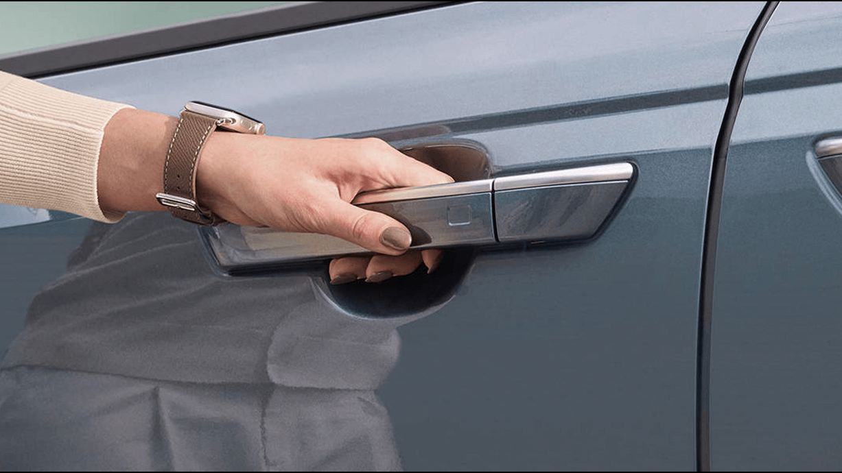 카니발 하이브리드