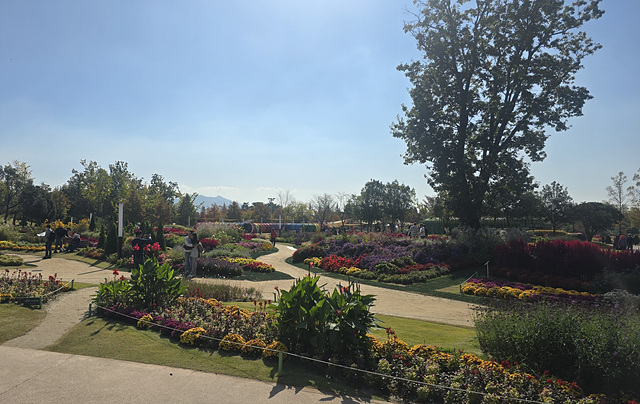 2025 순천만국가정원 입장료 추천코스 스카이큐브 순천여행 근처맛집 주차장 동문 서문 편의시설 예약 정원해설