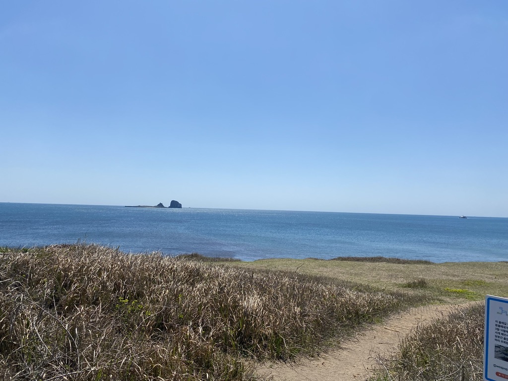 사계해변 해안사구