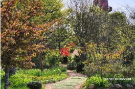 태안 추천 관광지 베스트10 관련 사진