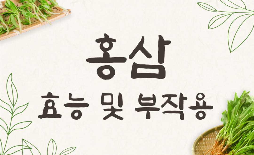 홍삼 효능과 부작용